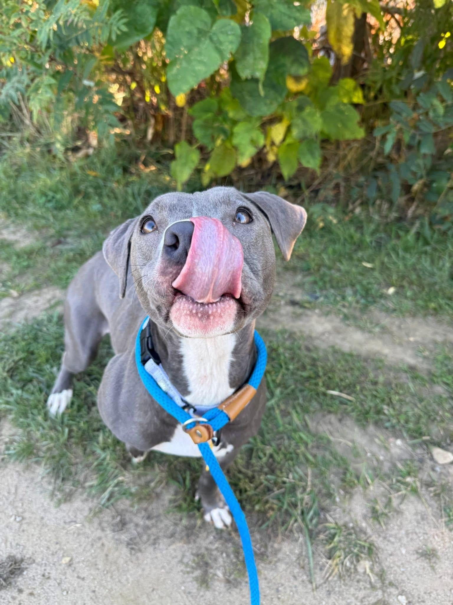 Della