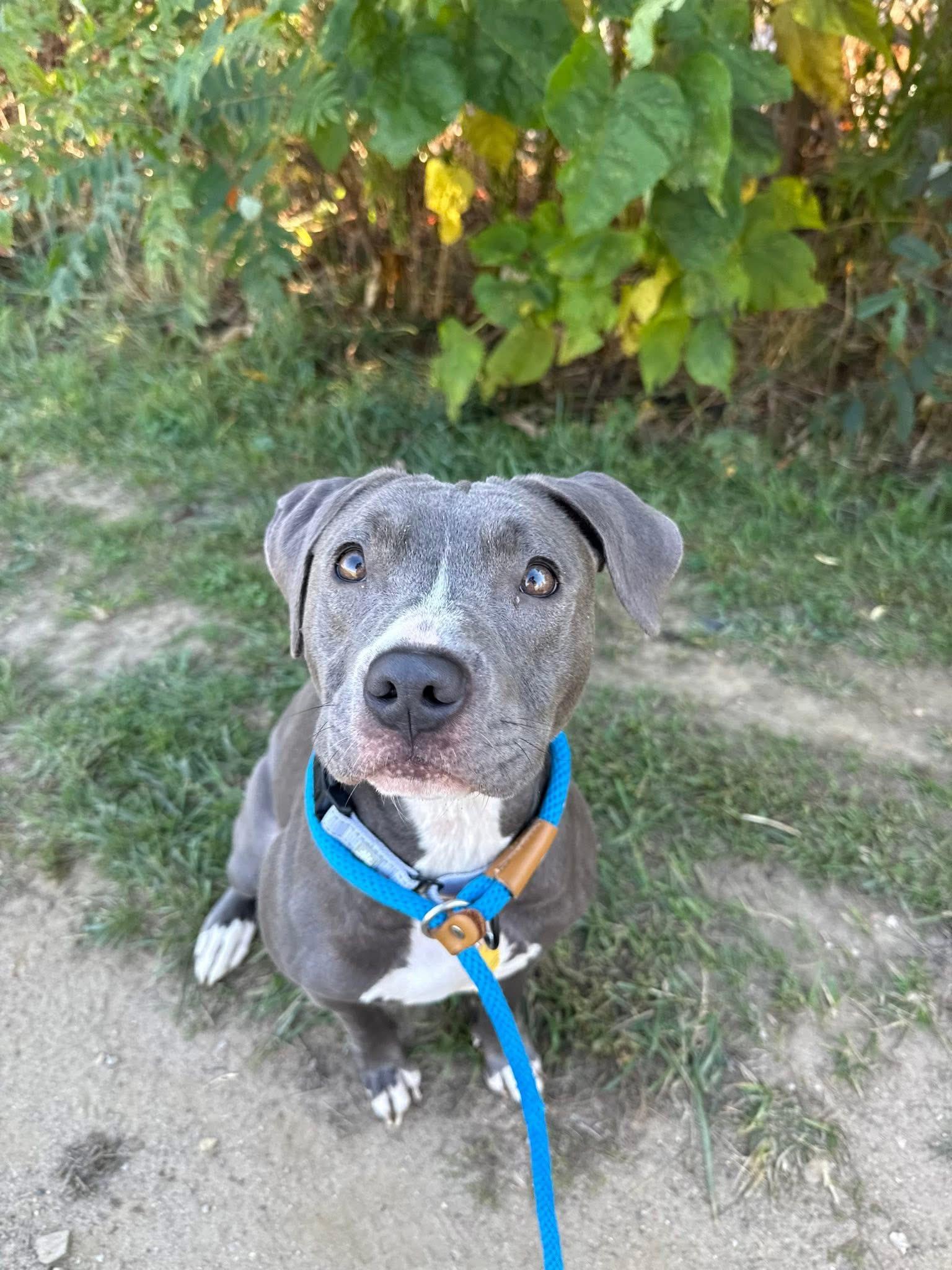 Della