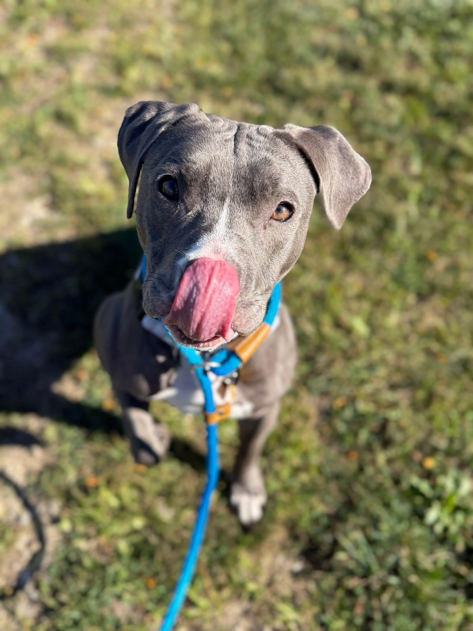 Della