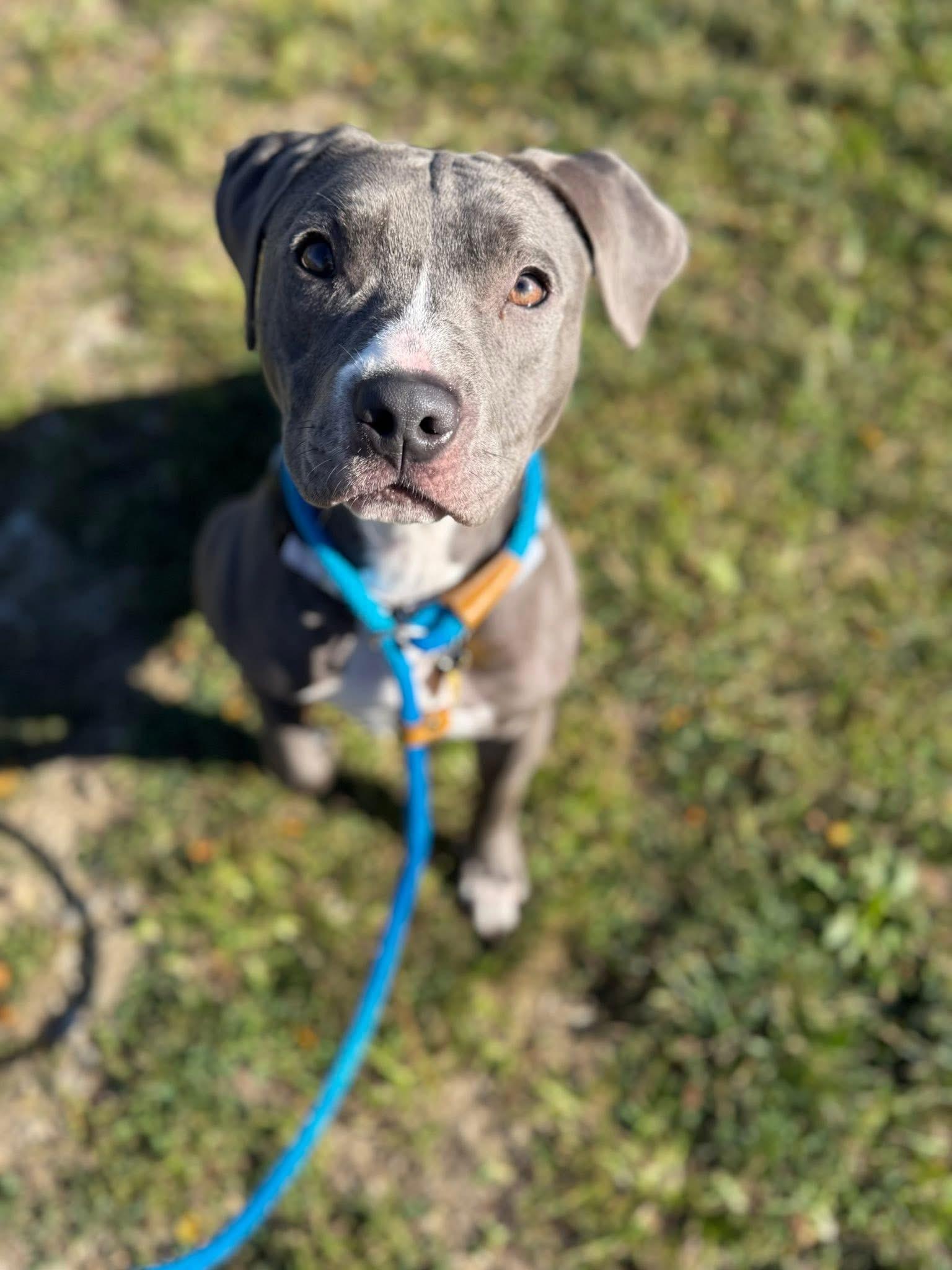 Della