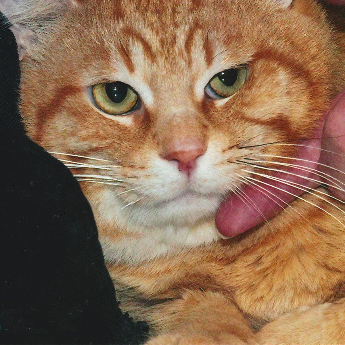 Rudy photo 2