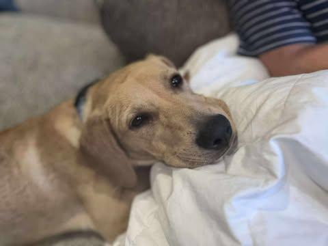 Ellie Mae photo 2