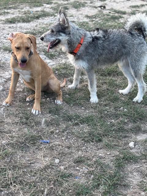 Ellie Mae photo 4