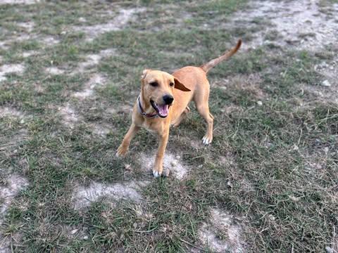 Ellie Mae, Baby Female unknown
