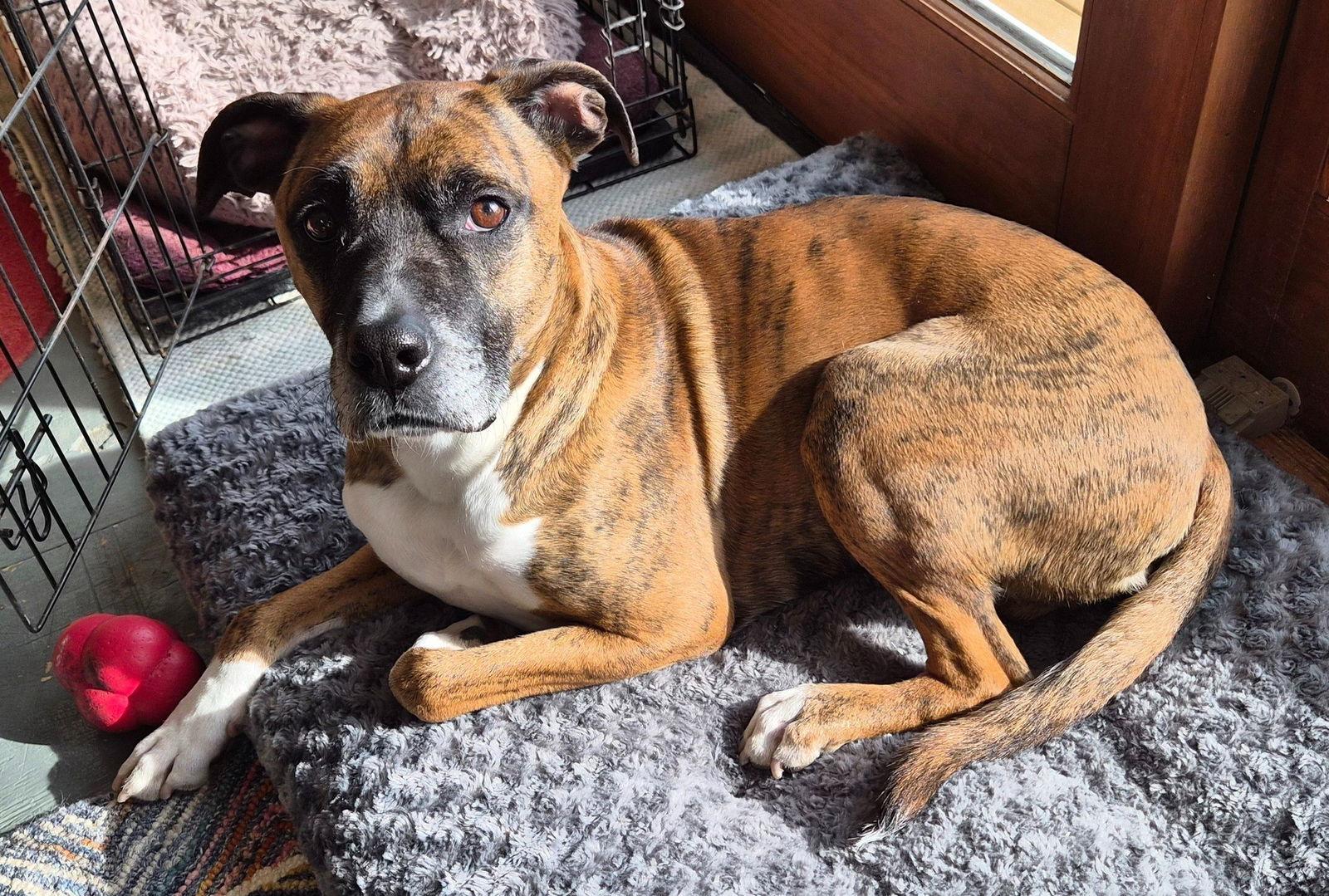 Lenny — thumbnail 3