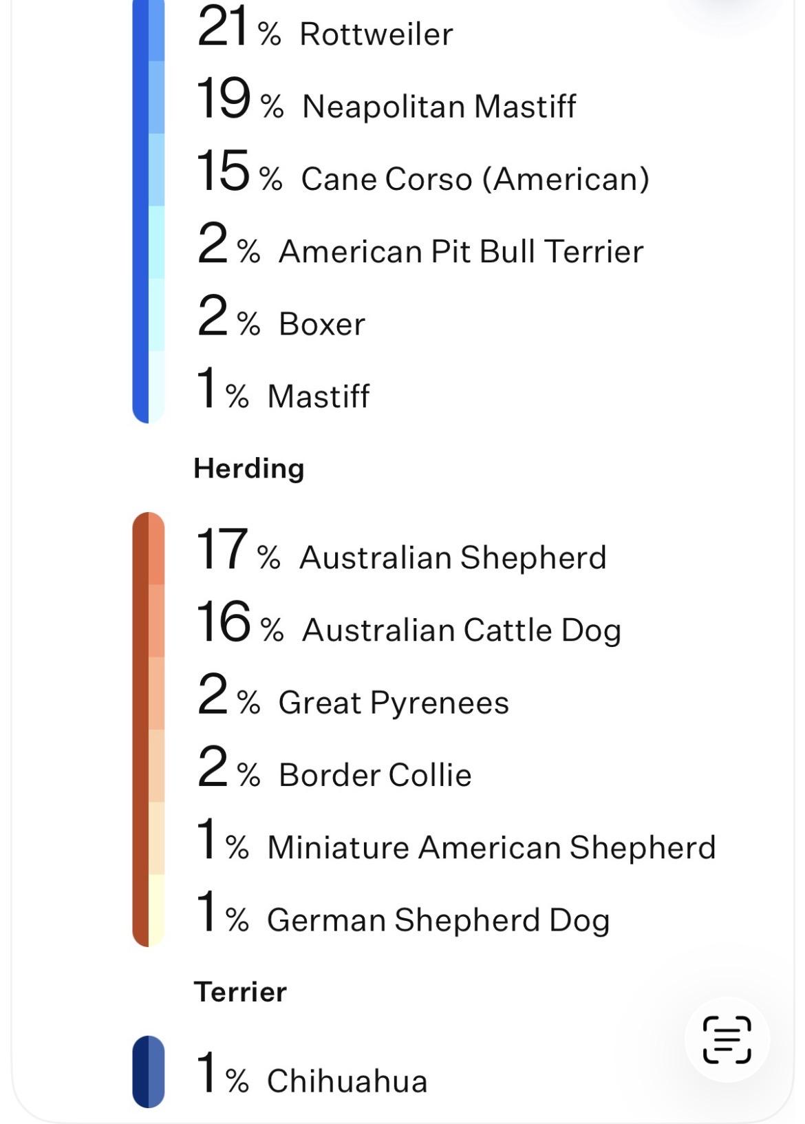 Enlarge Sally, a ADOPTABLE mixed breed in Waseca, MN image 2/6