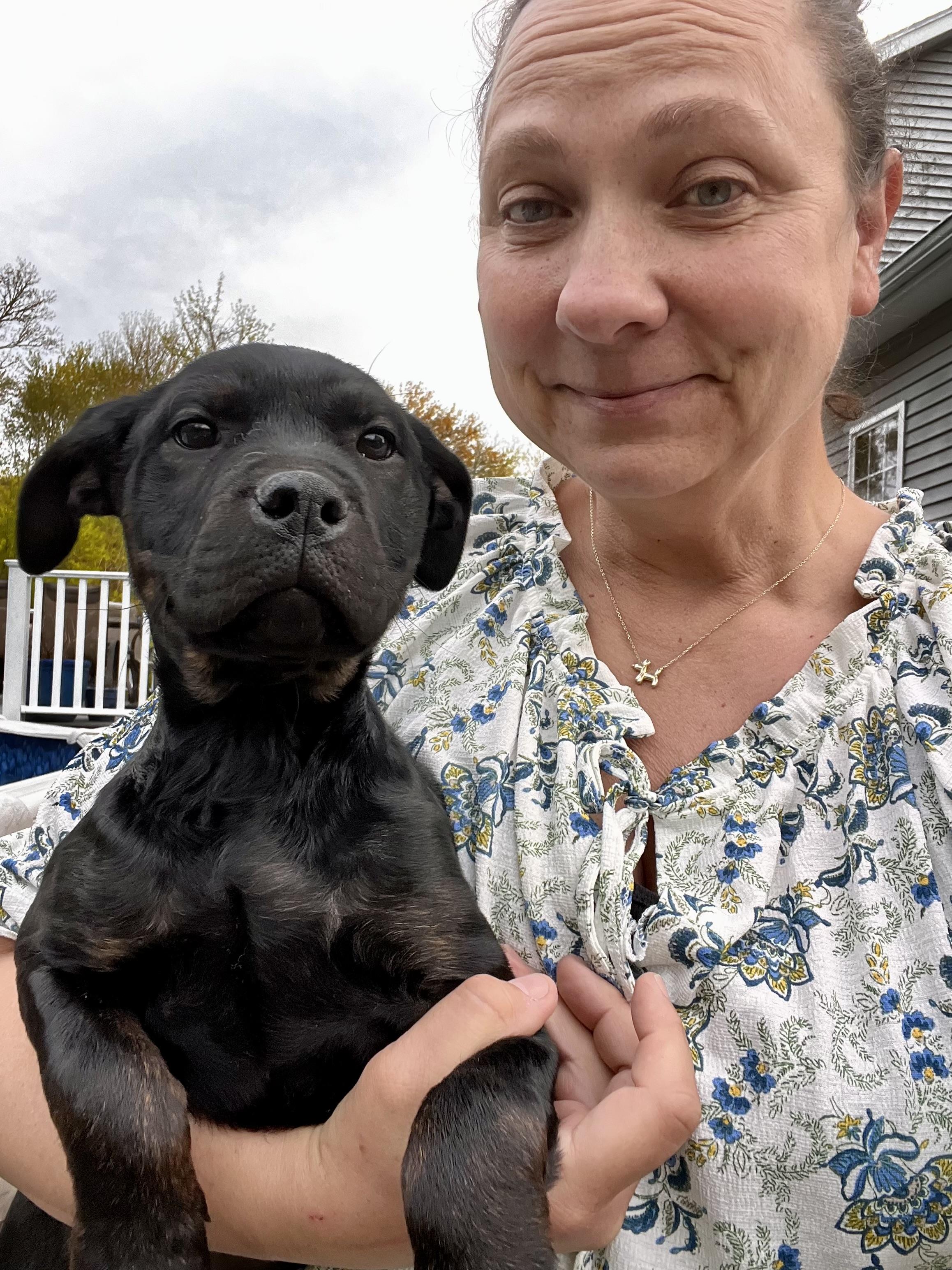 Enlarge Bean Sprout, a Adoptable mixed breed in Griswold, CT image 5/5