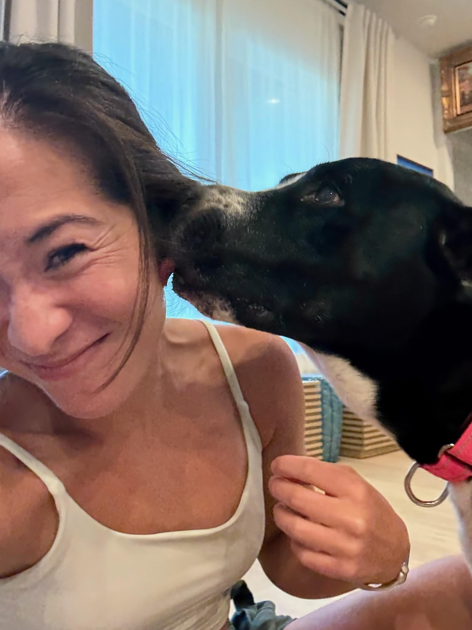 Clemy, a Adoptable mixed breed in Austin, TX image 4/4