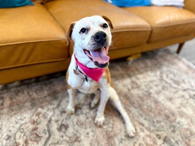 Pippi Longstocking Pocket Sparkle