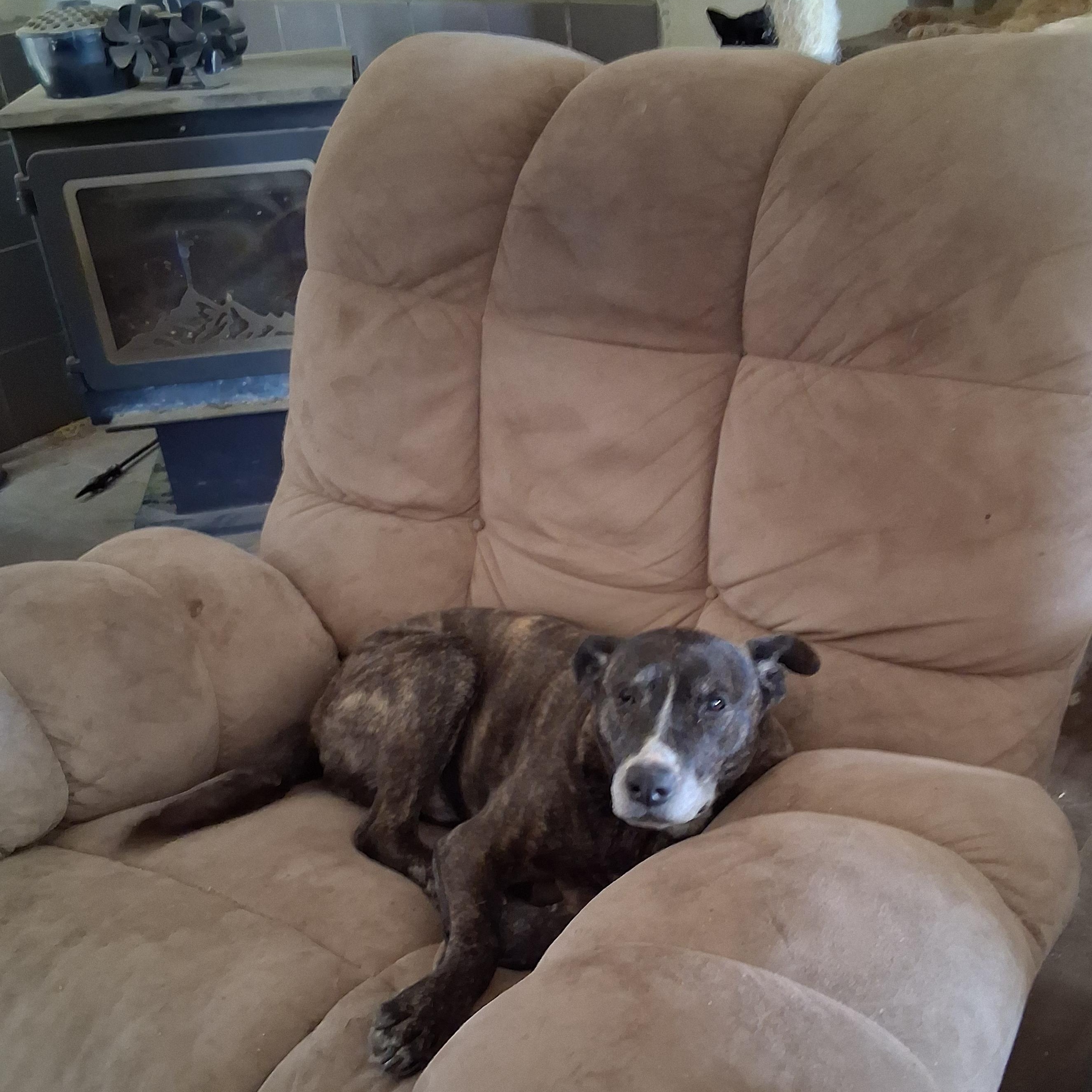 Maggie photo 2
