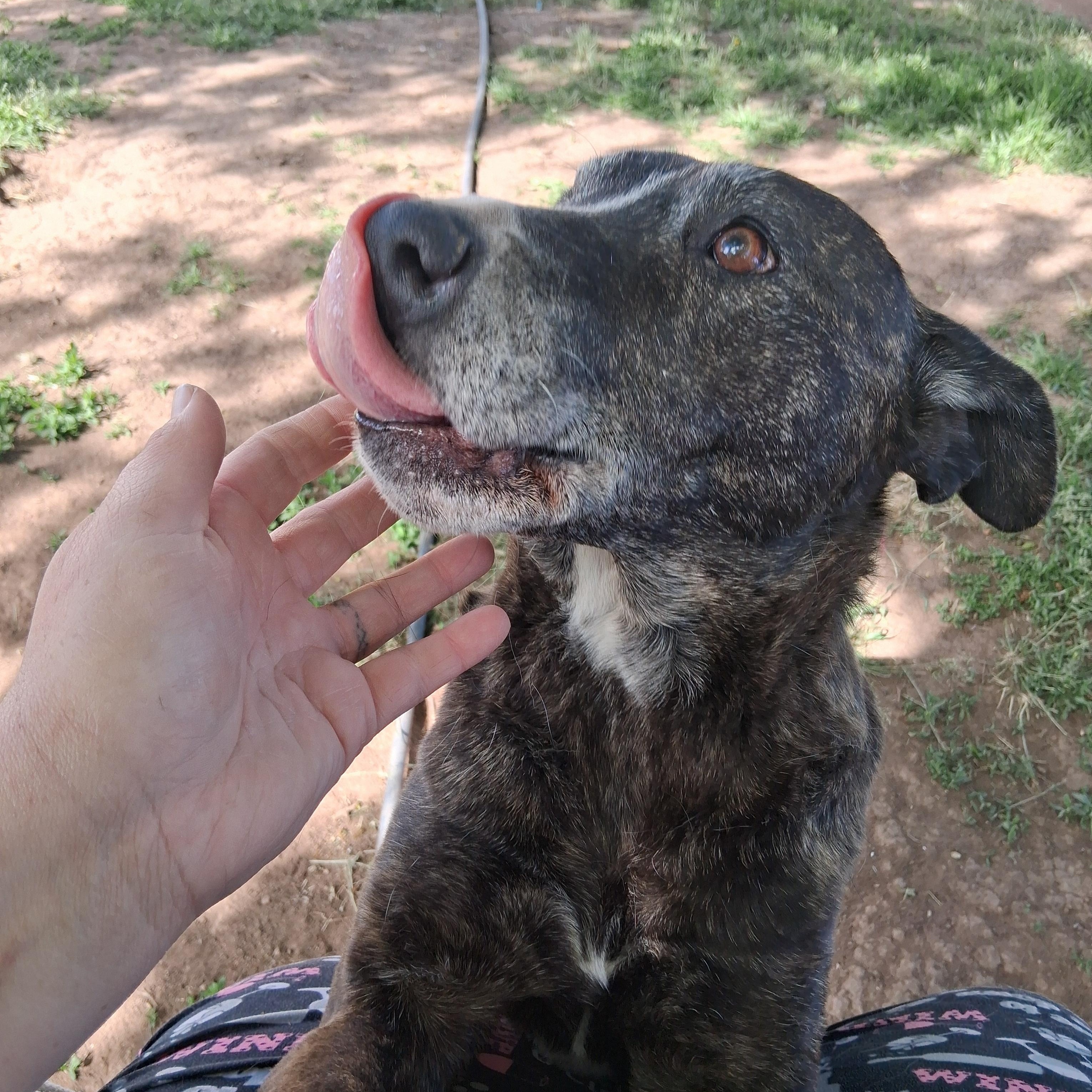Maggie photo 3