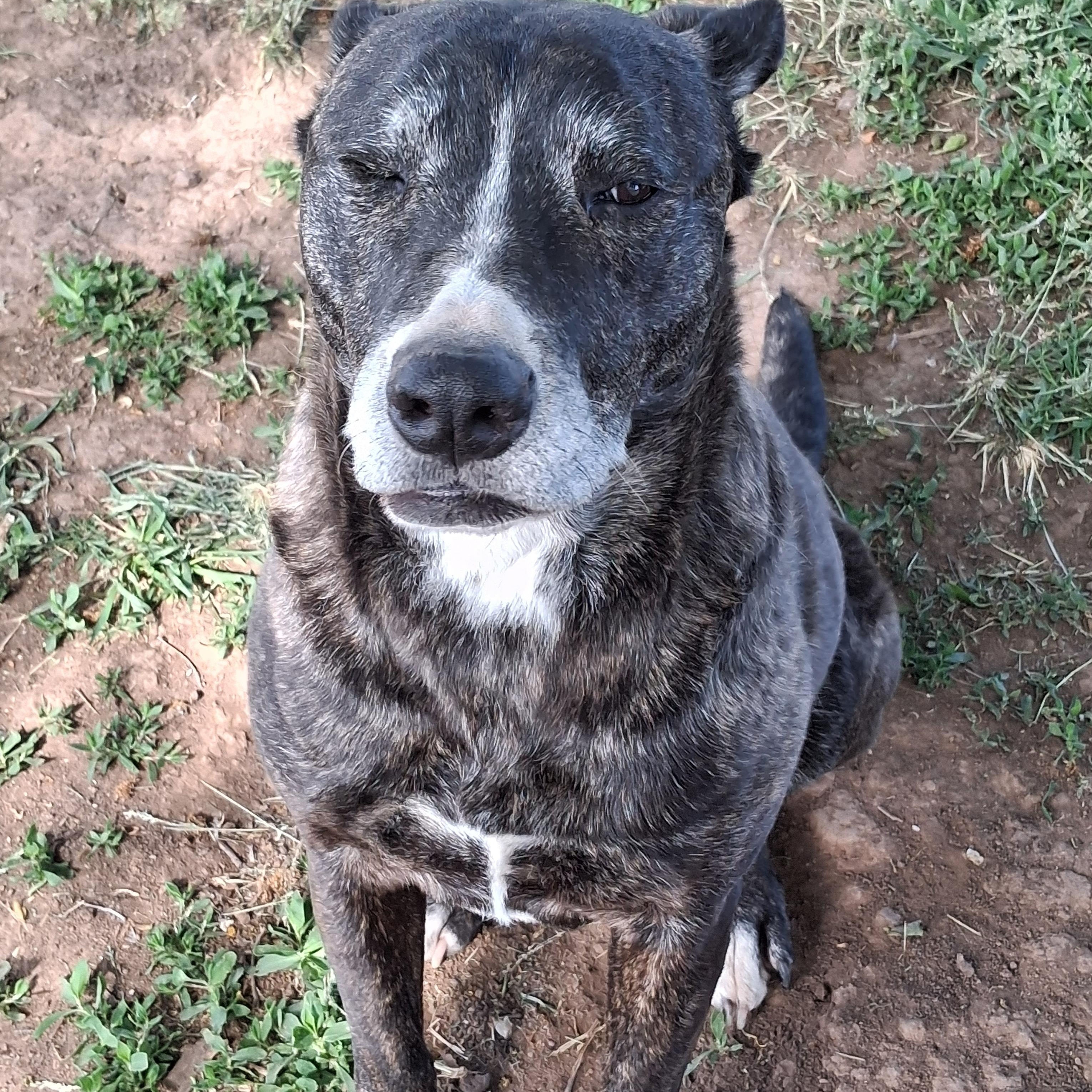 Maggie photo 1