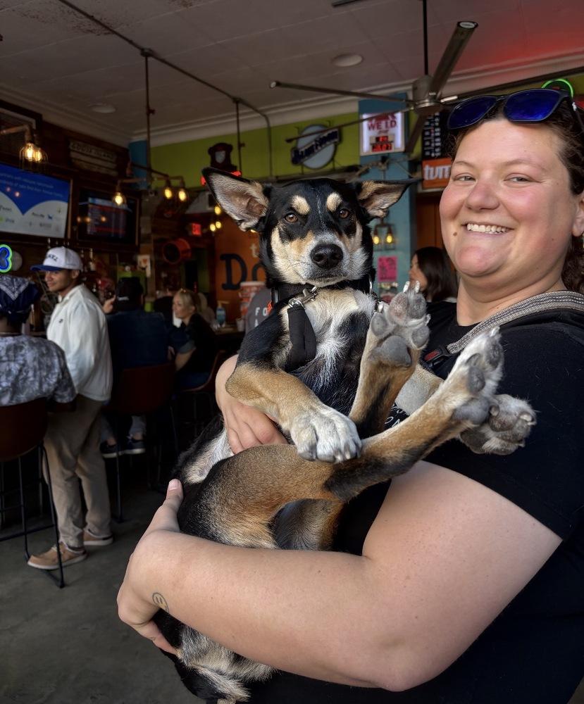 Enlarge Buster, a Adoptable mixed breed in St. Petersburg, FL image 5/6