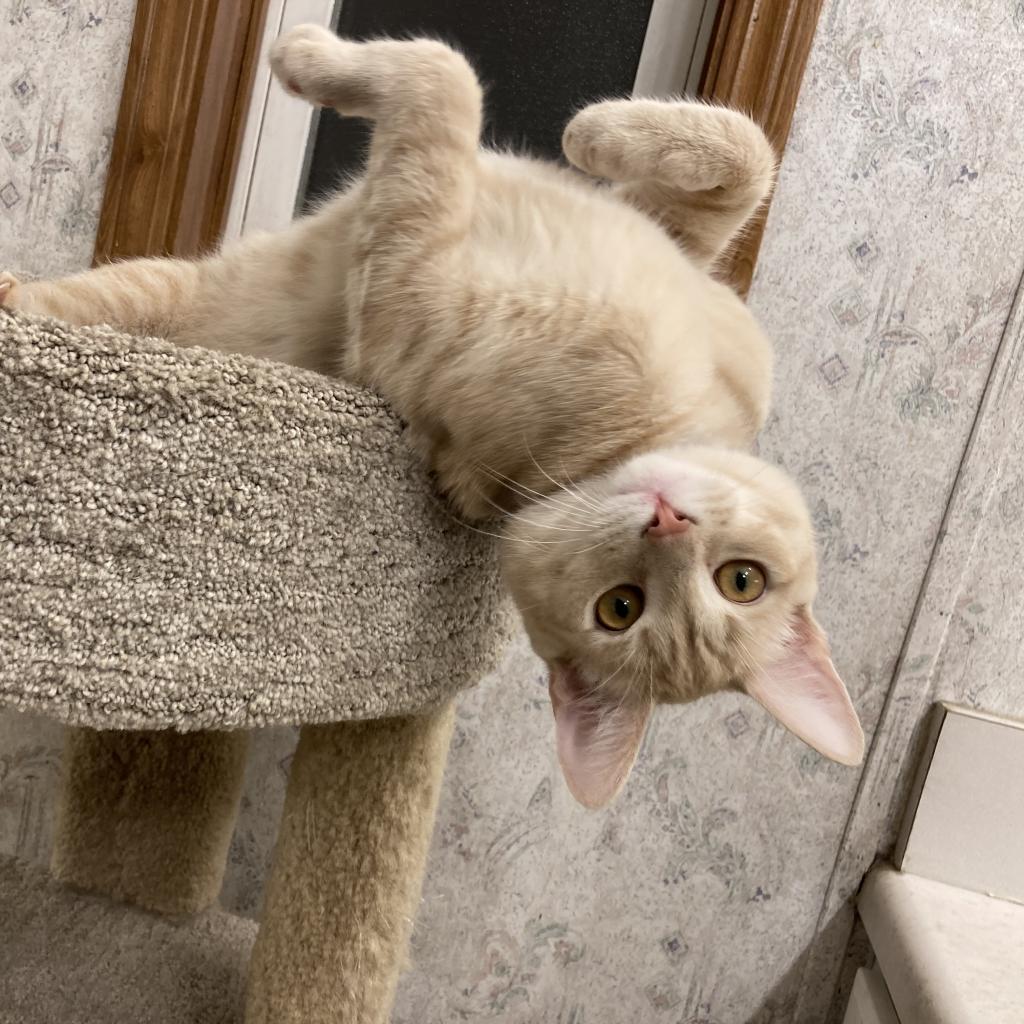 Timothy — thumbnail 2