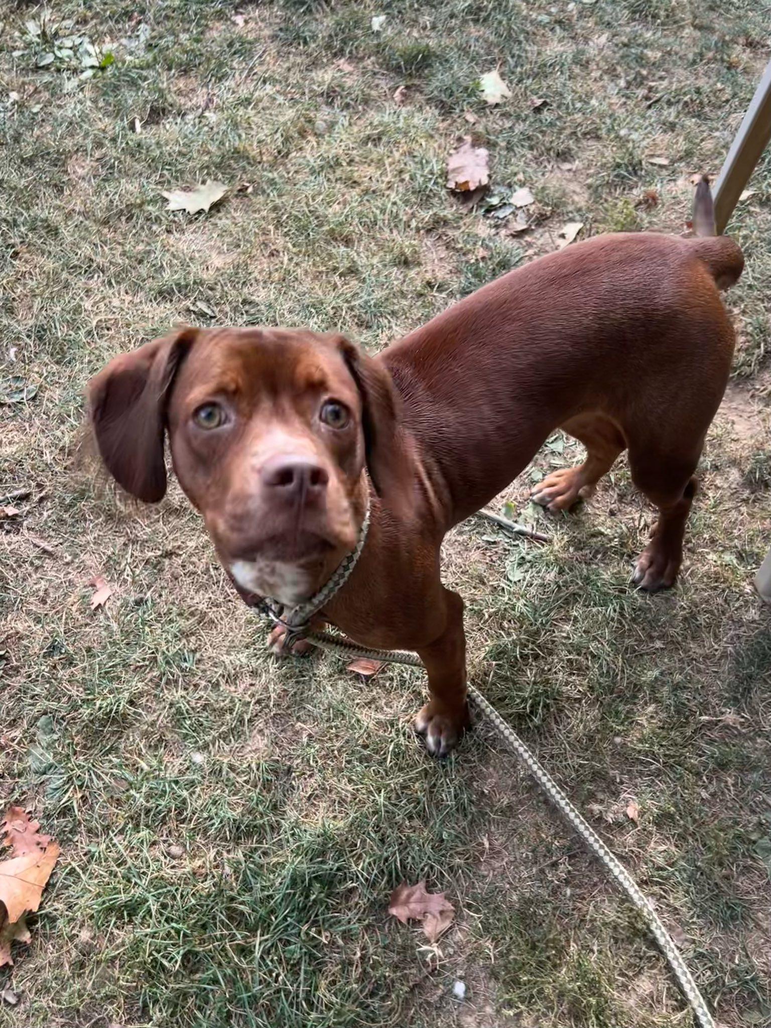 Milton