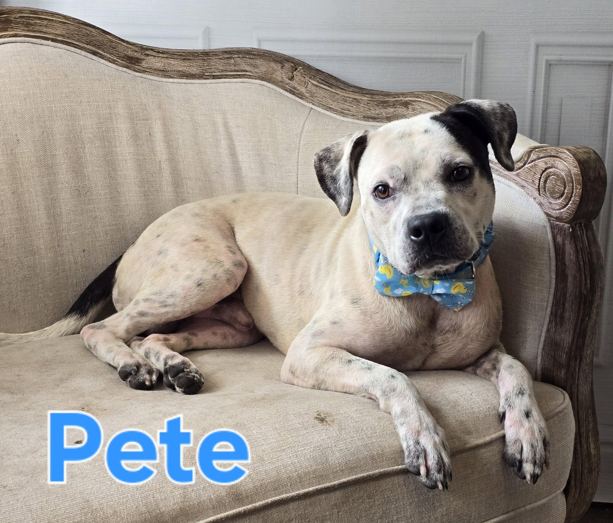 Pete