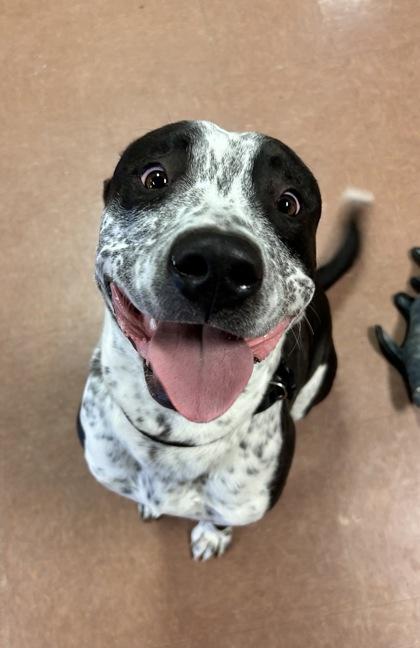 Boots — thumbnail 2