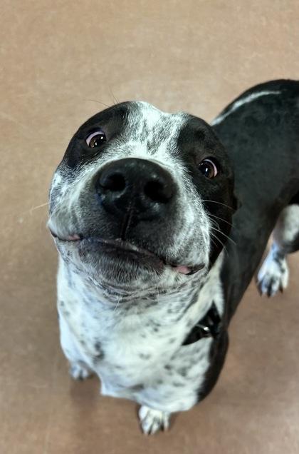 Boots — thumbnail 3