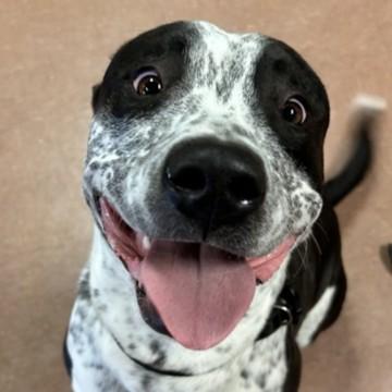 Boots — thumbnail 4