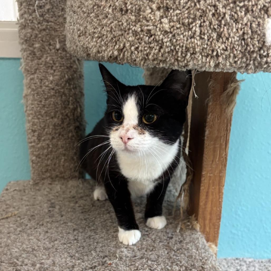 Anna — thumbnail 4