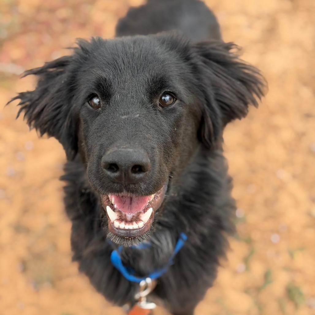 Tucker photo
