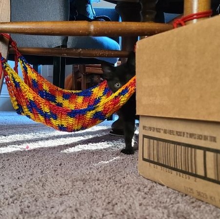 Enlarge Prepotente - Winterville, GA, an adopted mixed breed in Athens, GA image 3/6