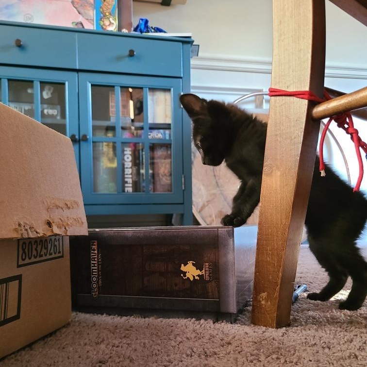 Enlarge Prepotente - Winterville, GA, an adopted mixed breed in Athens, GA image 4/6