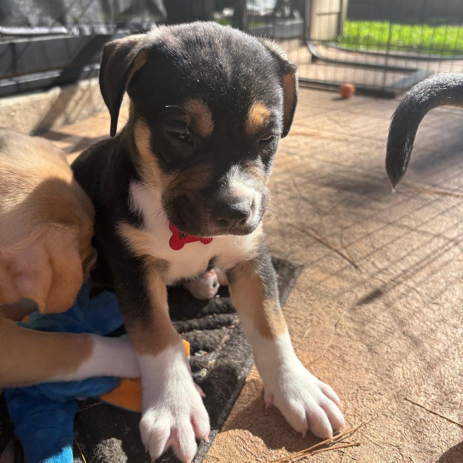 River — thumbnail 2