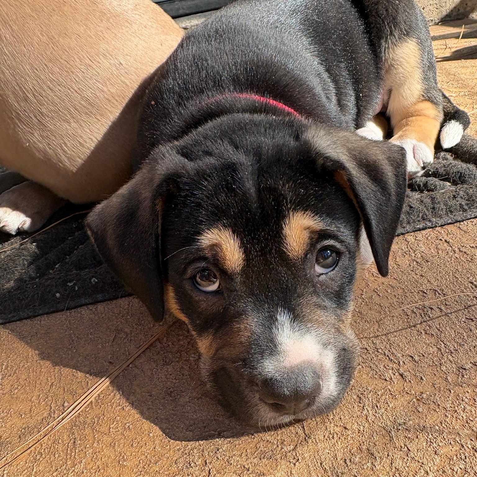 River — thumbnail 3