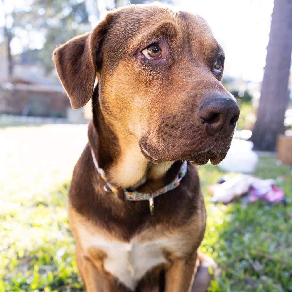 River — thumbnail 4