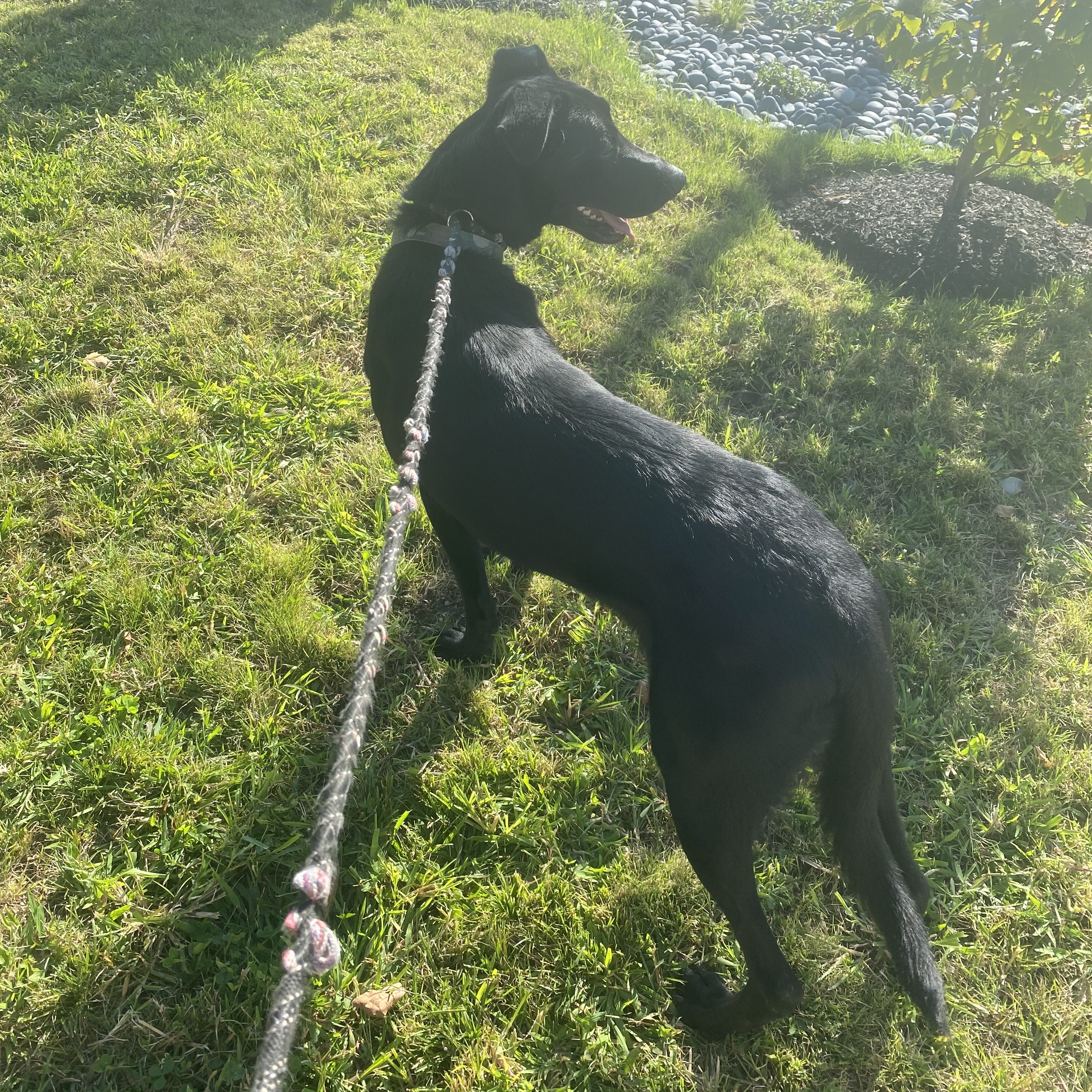 Wayne — thumbnail 2