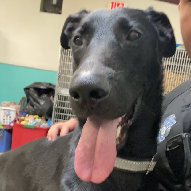 Wayne — thumbnail 3