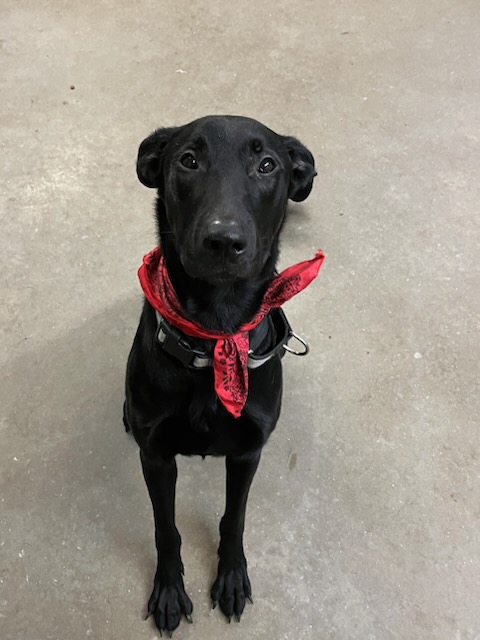 Wayne — thumbnail 5