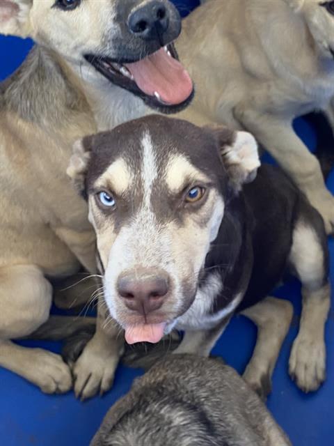 Spencer -- URGENT! AT RISK!