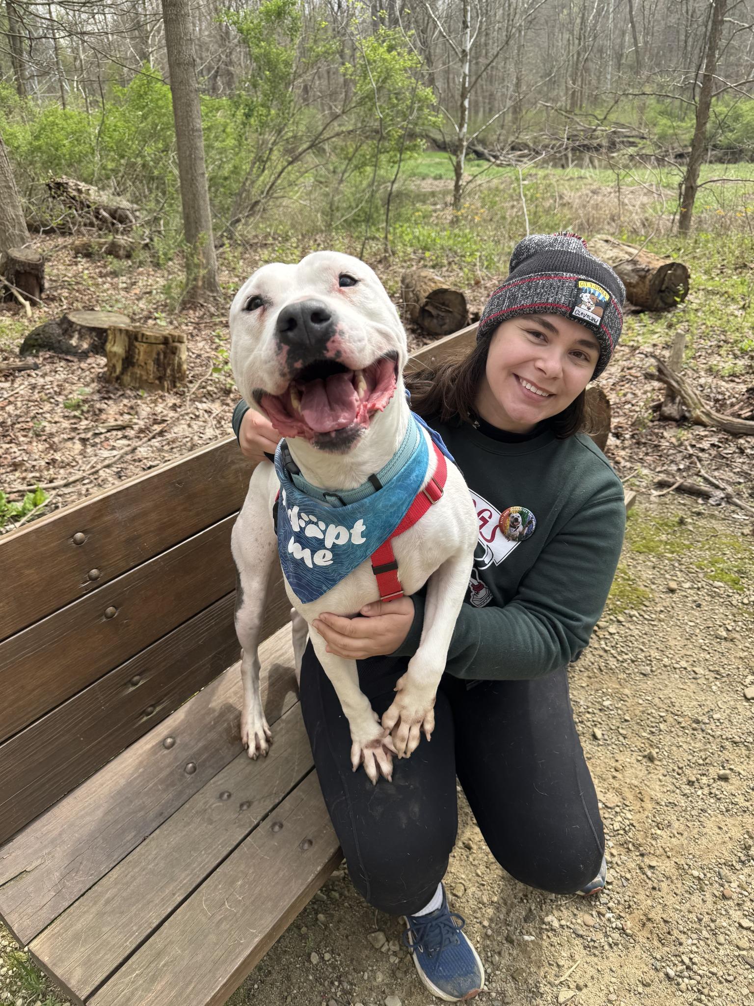 Enlarge Laszlo, a ADOPTABLE mixed breed in Cleveland, OH image 4/6