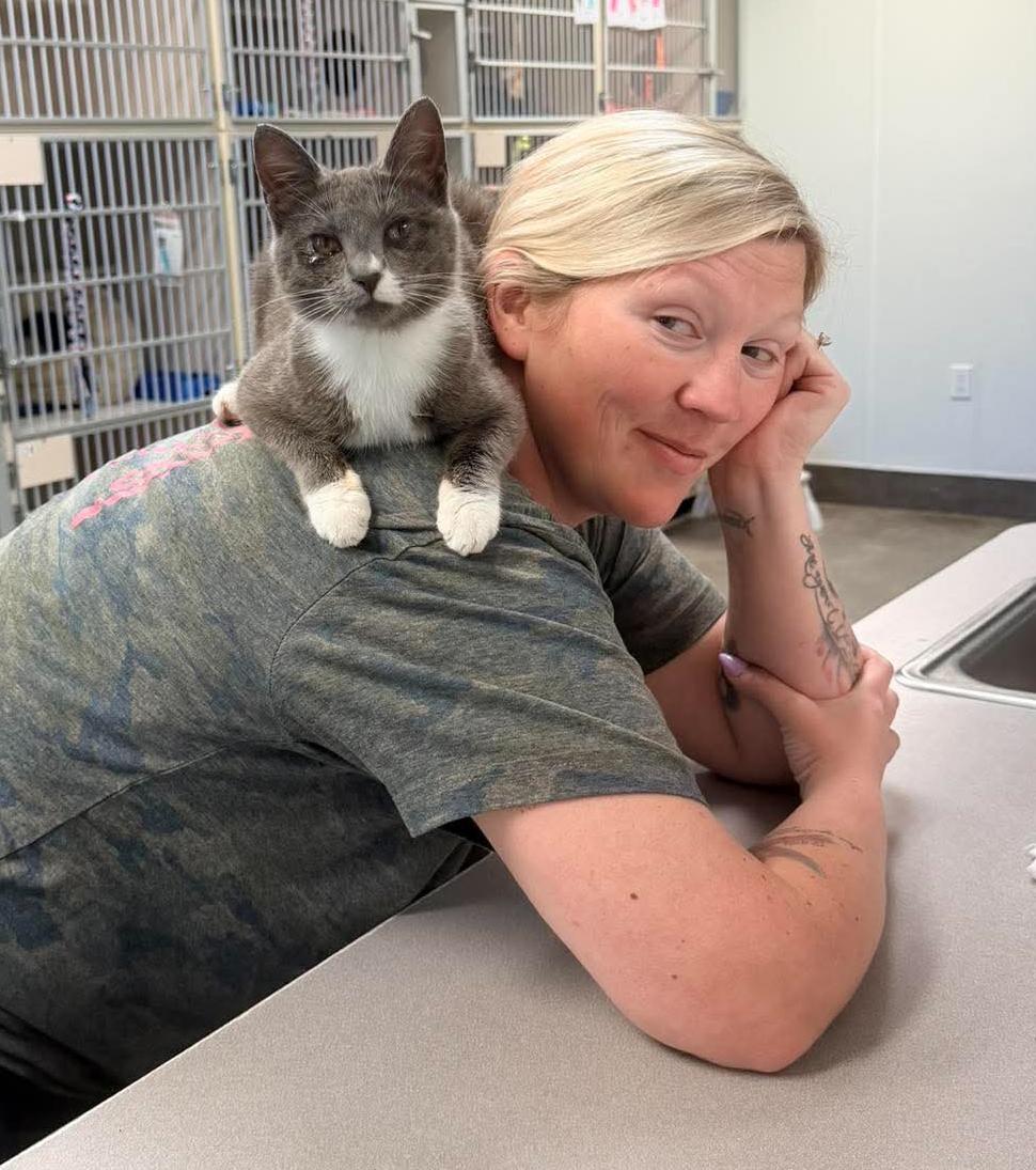 Enlarge Scuba is the happiness you have been searching for - READ HER AMAZING STORY - VIDEO, a ADOPTABLE mixed breed in Bedford Hills, NY image 2/6