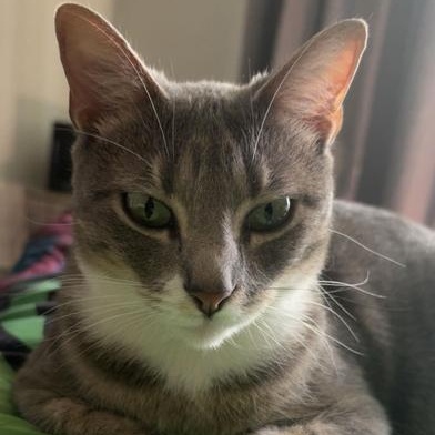 Poofy — thumbnail 3