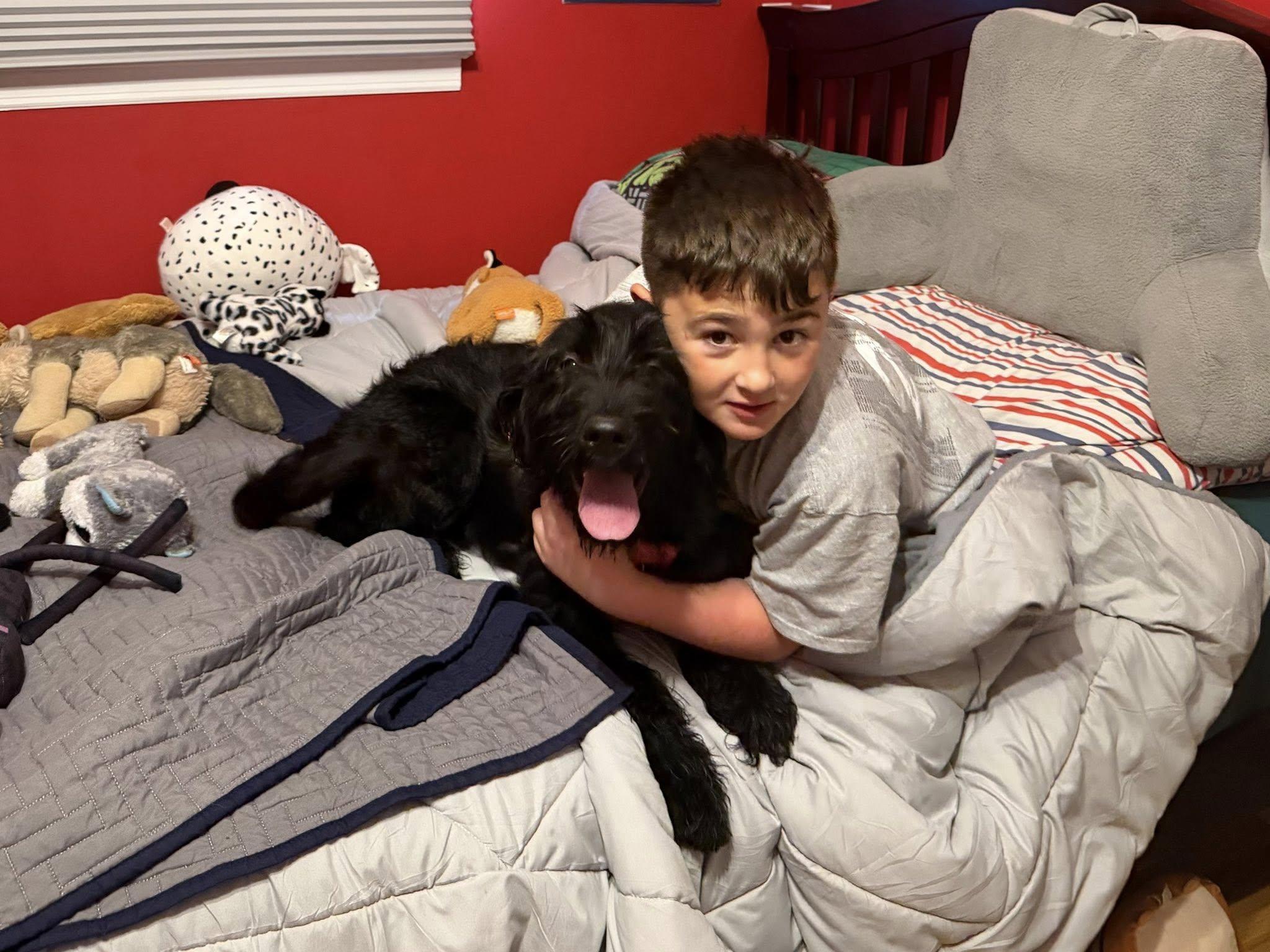 Annie - In NJ , an adopted mixed breed in Willington, CT image 5/6