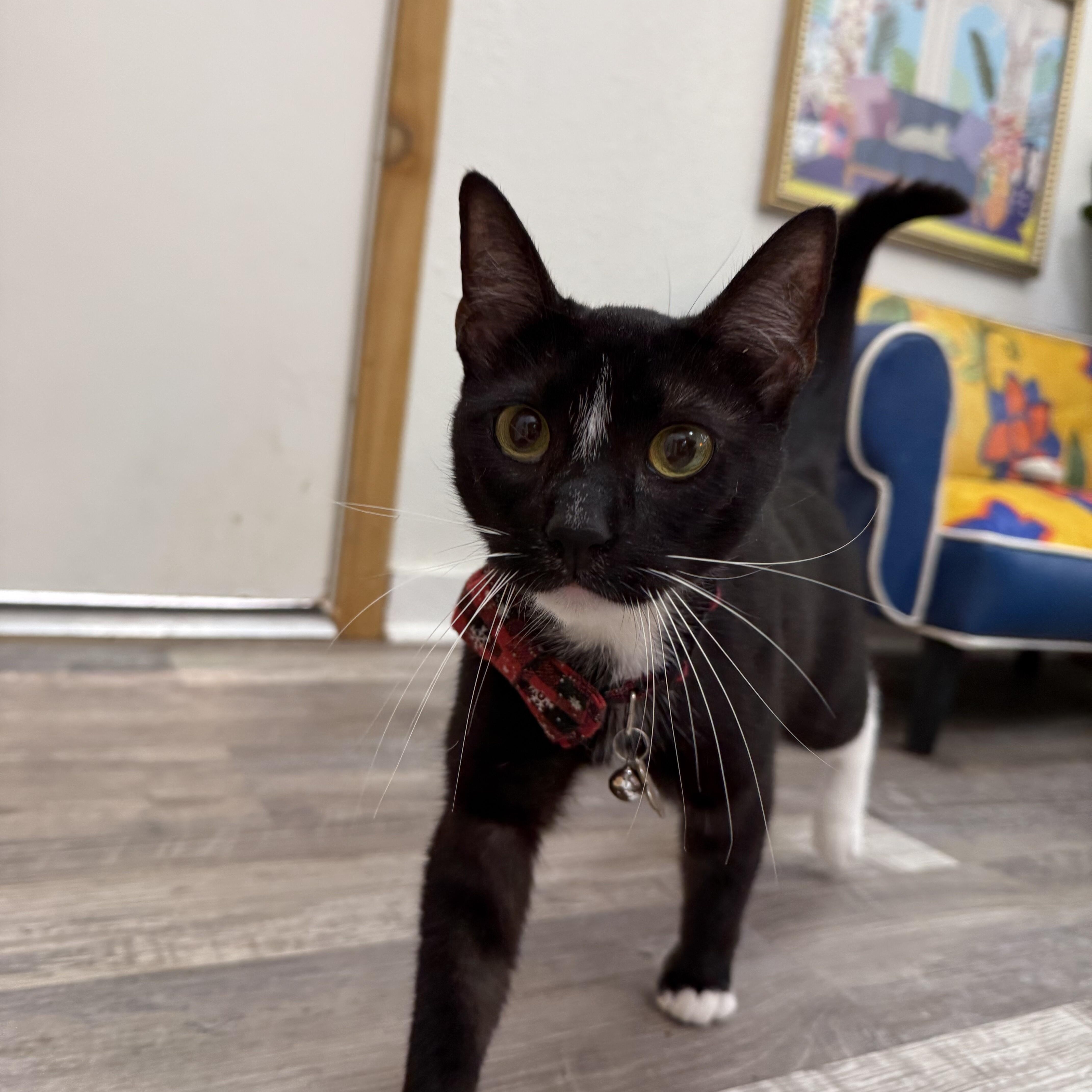 Wally Lucy Lou — thumbnail 4