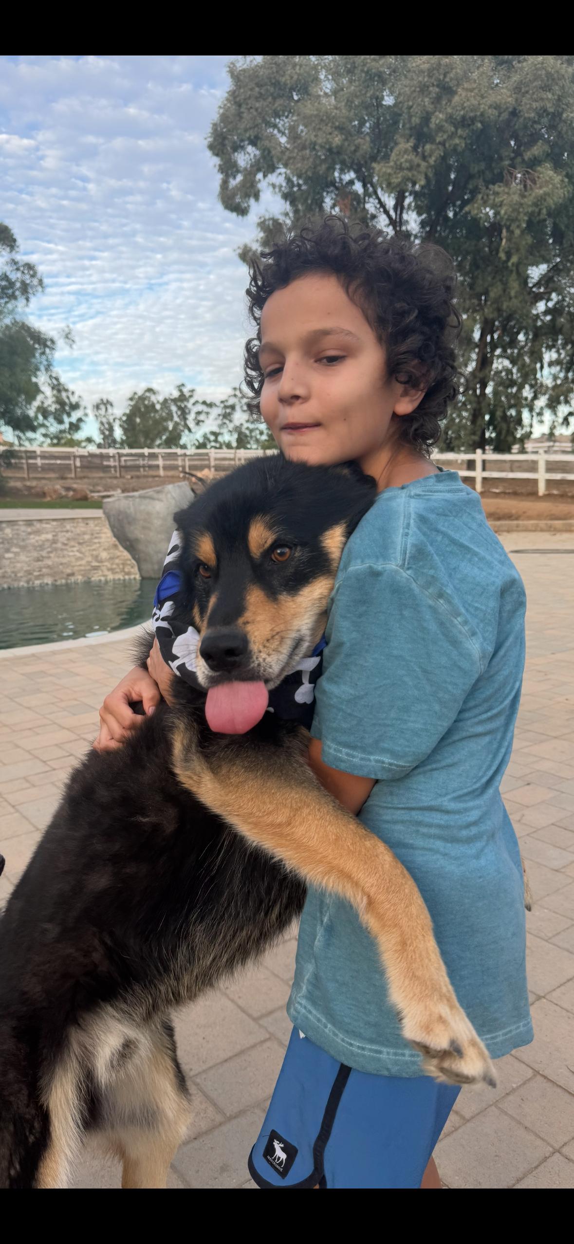 Enlarge Cowboy, a Adoptable mixed breed in Ramona, CA image 1/1