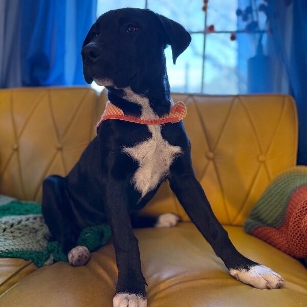 Elsa Frozen — thumbnail 5