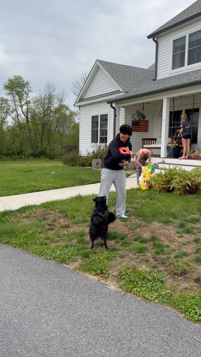 Enlarge Luna, an adoptable mixed breed in Framingham, , MA video 3/6
