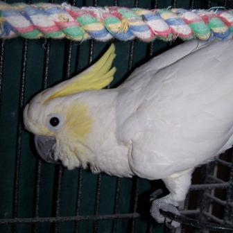 Tony photo 1