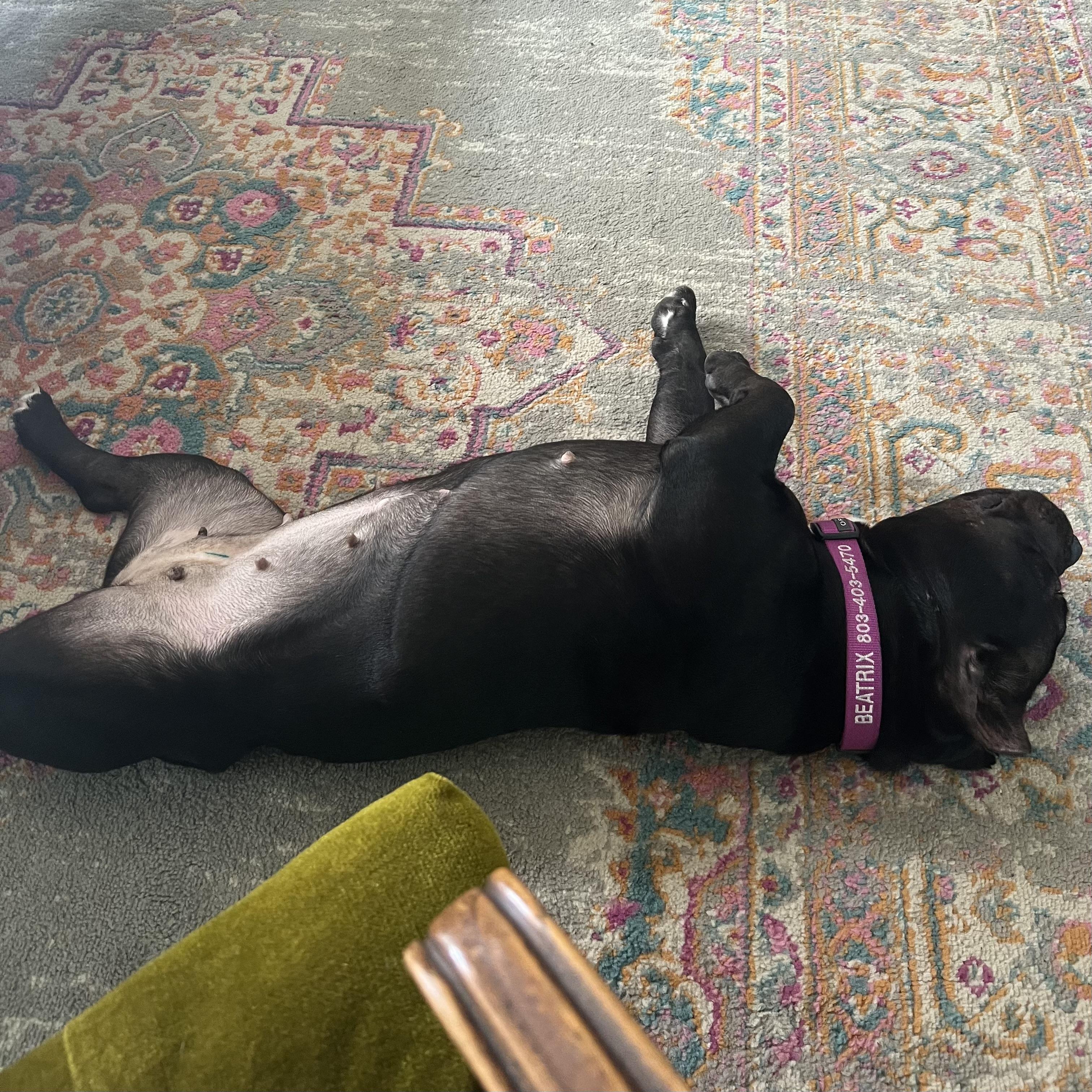 Beatrix — thumbnail 4