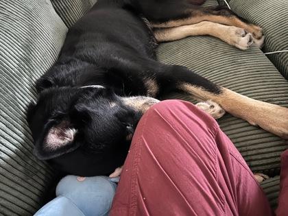 Little Boy — thumbnail 3