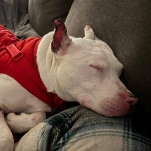 Kayak — thumbnail 2