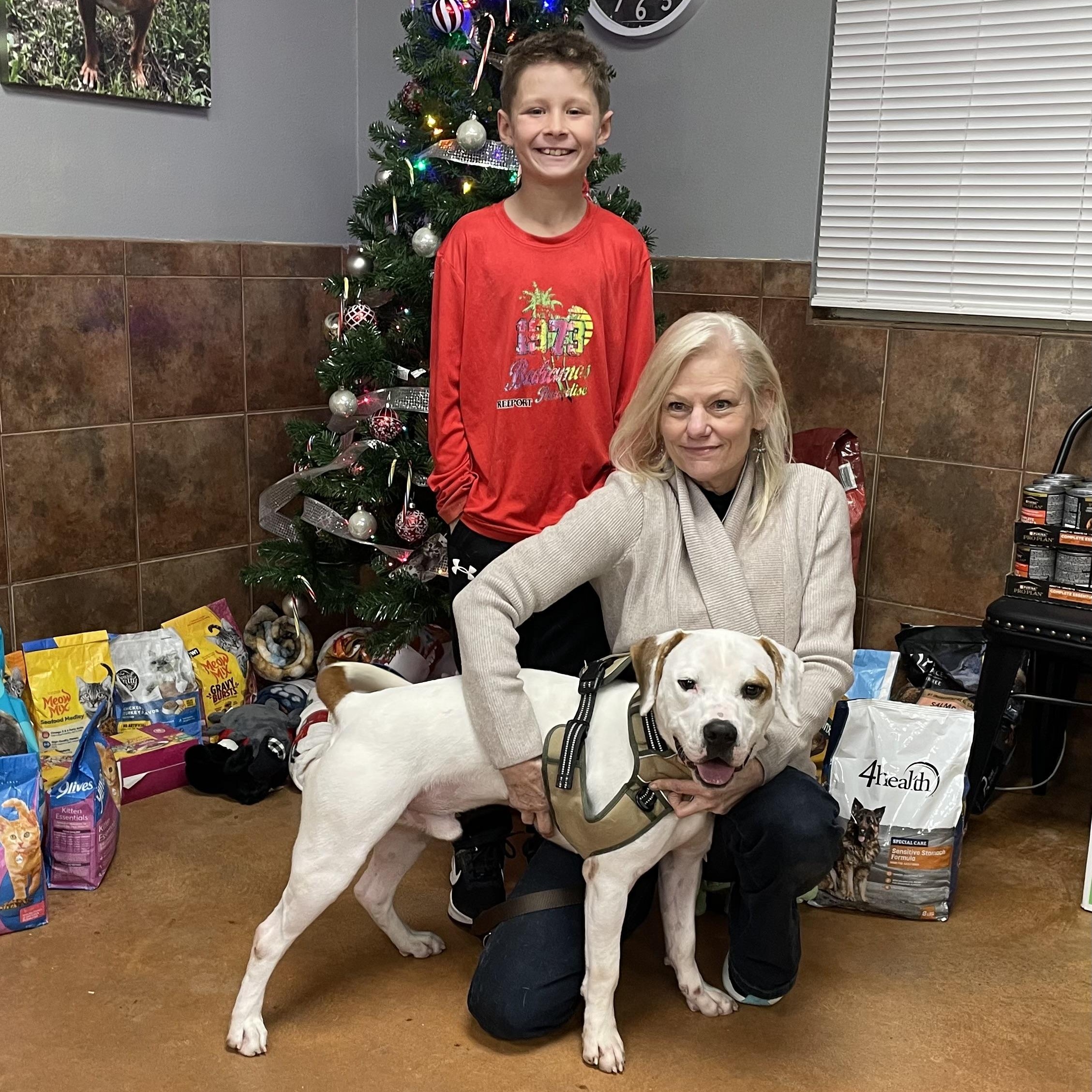 Enlarge Granger, a Adoptable mixed breed in Heber Springs, AR image 6/6