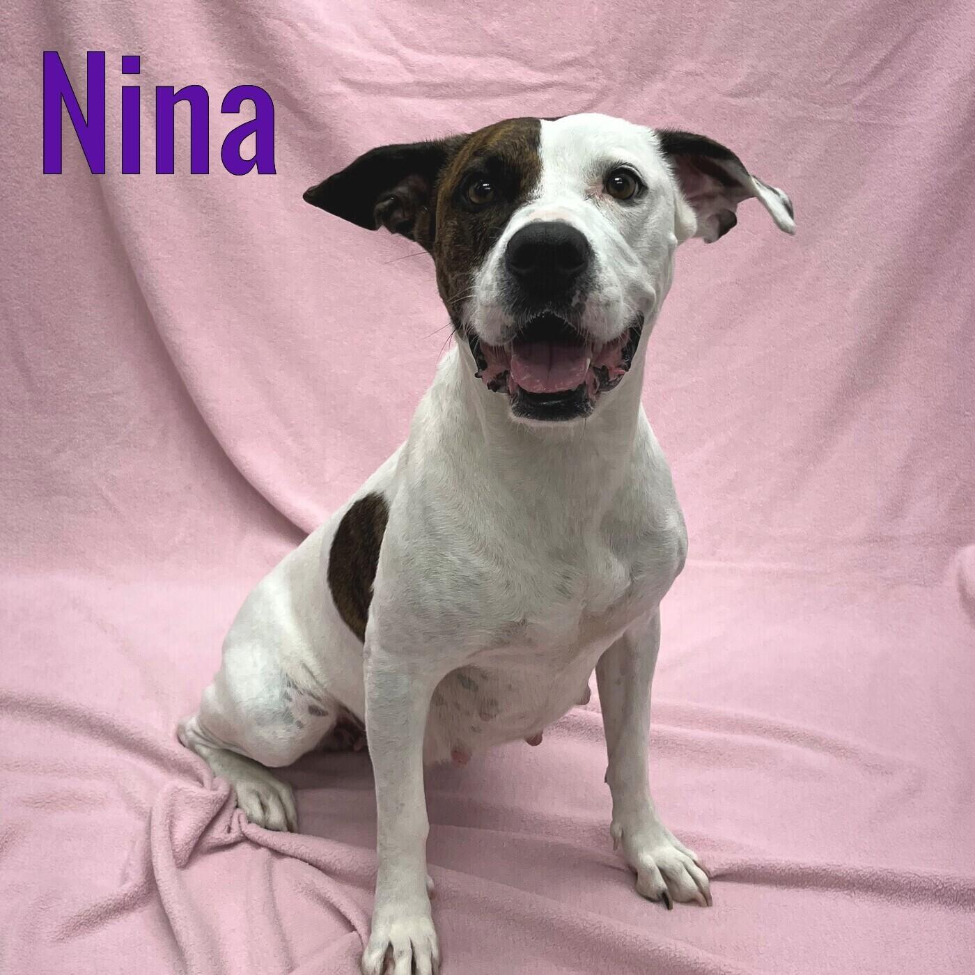 Nina, Young Female unknown