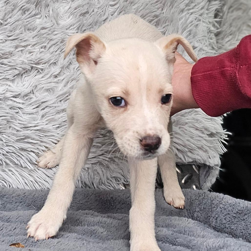 Jules — thumbnail 5