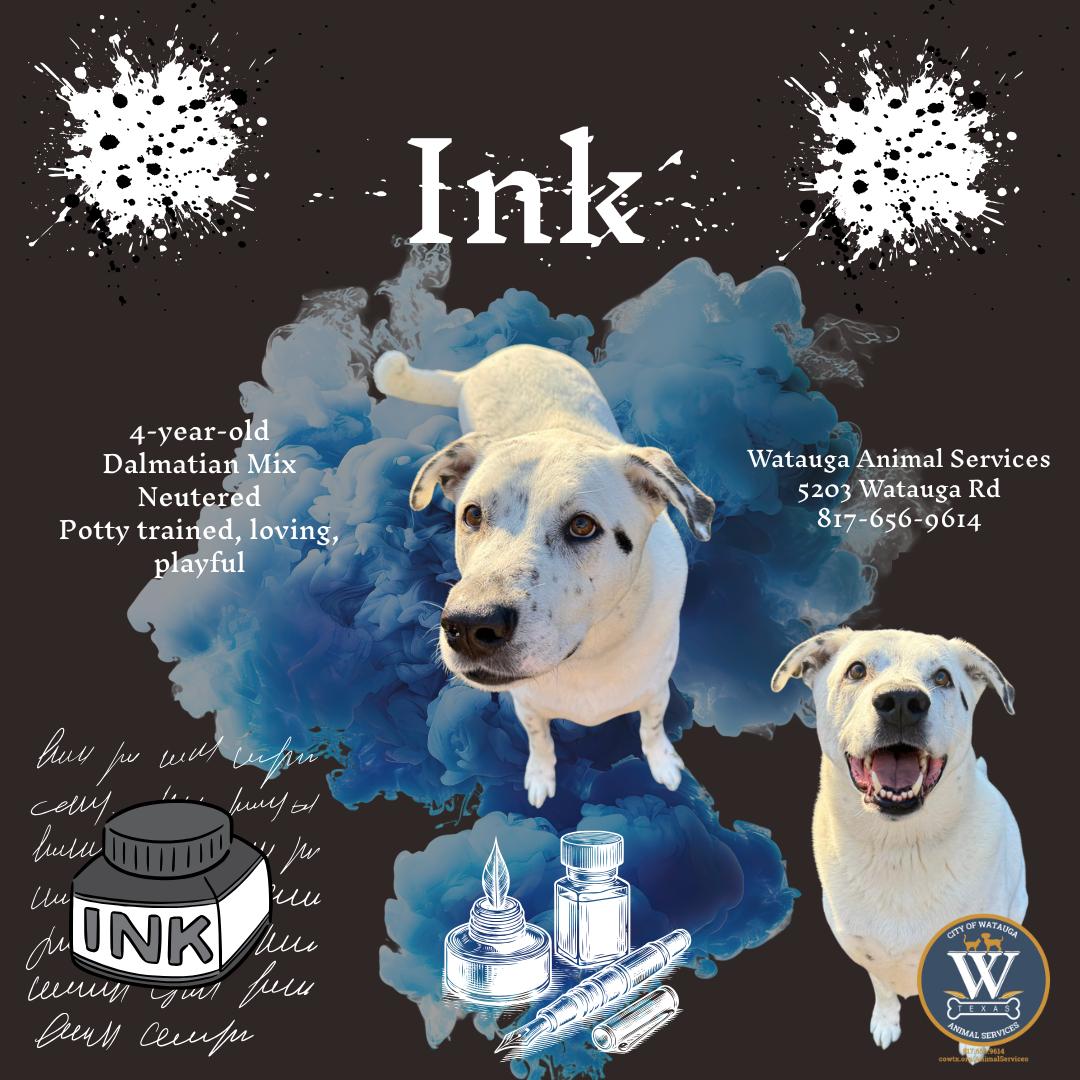 Ink